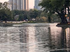 -荔湾湖公园