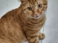 -云晓光头烧烤吧(新大陆广场店)