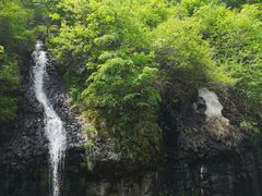 -望天鹅景区