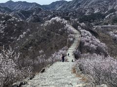 -龙泉峪长城