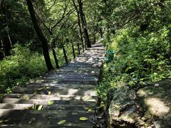 -王顺山国家森林公园