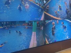 -Swim斯卫姆国际儿童游泳中心(红博中央公园店)