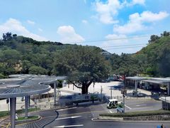 -点都德(广州白云山景区南门店)