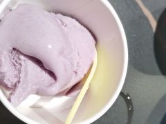 -淼福猪肚鸡·椰子鸡火锅(大沙地店)