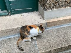 -飞洲国际广场