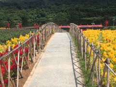 -东部华侨城