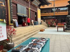 -亭林园-华藏寺