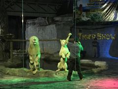 -清迈夜间动物园