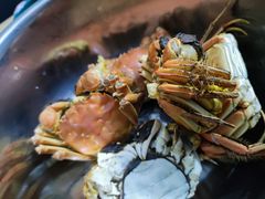 -黄记大闸蟹专卖店·活蟹·醉蟹