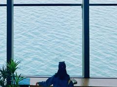 -抱抱地球咖啡馆(国家海洋博物馆店)
