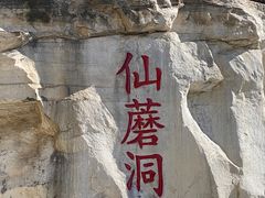 -仙蘑洞