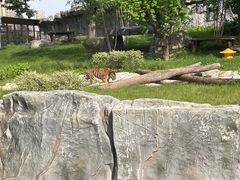 -武汉动物园