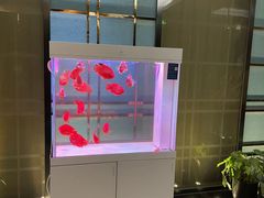 -菩提会所·足道·SPA(苏州中心店)