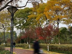 -杭州城北体育公园