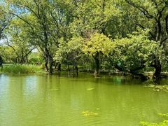-仙山湖景区