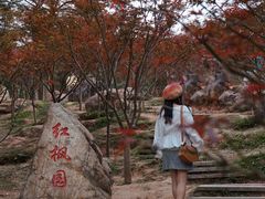 -广州市帽峰山景区