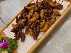 -印象高密·凤都国际大酒店