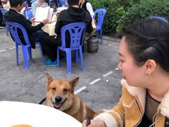 -老东风菜馆·潮汕大排档