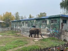 -西安秦岭野生动物园