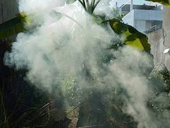 -维乐口腔医院(星海湾分院)