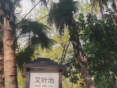-融汇温泉