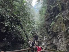 -青城山