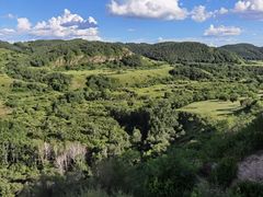 -御道口草原森林风景区