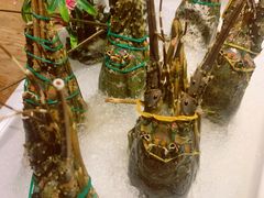 -雍和会海鲜姿造自助(湖东路店)