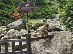 -三峡人家风景区