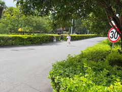 -桂林独秀峰王城景区
