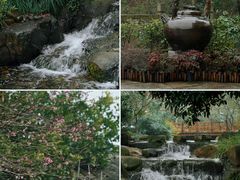 -中国茶叶博物馆(双峰馆区)