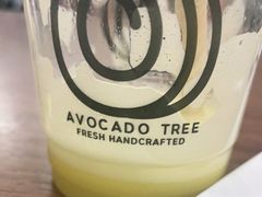 -油梨树AVOCADO TREE(嘉里中心店)