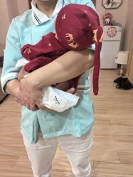 -致友月子会所旗舰店