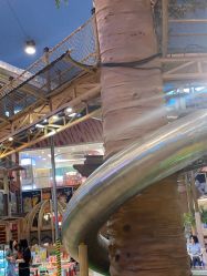 -卡通尼·Safari非洲探索乐园·生日会(金桥国际商业广场店)