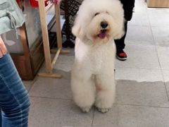 -FAELING PETS美天灵宠物(富力广场店)
