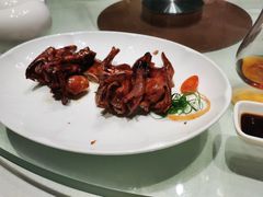 红烧乳鸽-广东道至正餐厅(区庄店)