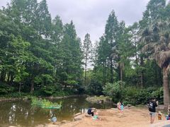 -苏州河梦清园环保主题公园