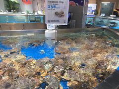 -盒马鲜生(杭州运河上街店)