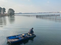 -鹅湖玫瑰文化园