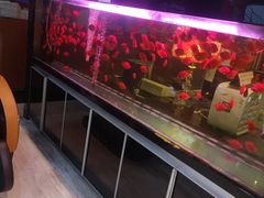 -西安饭庄(立丰国际店)