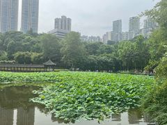 -龙头寺公园