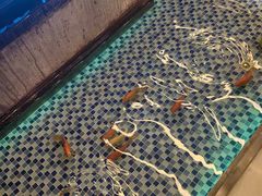 -浅深Cheersum(曹杨店)