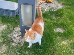 -陆家嘴世纪金融广场