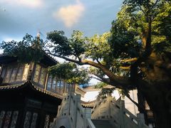 -馋遇江南·精致湖景雅宴(东方之门店)