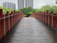 -南翔镇银翔湖公园