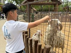 -太原动物园