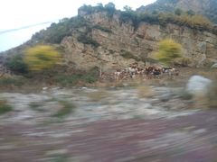 -蔚县茶山村