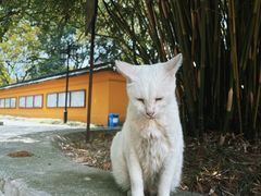 -西园戒幢律寺