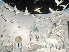 -中国湿地博物馆