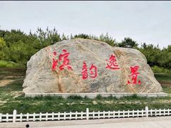 -塘沽森林公园